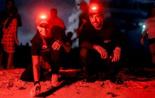 En Cancún se protegen las tortugas marinas, reafirma Ana Paty Peralta
