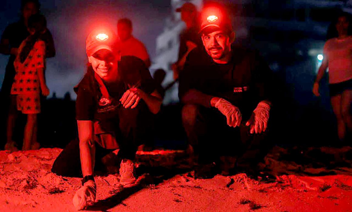 En Cancún se protegen las tortugas marinas, reafirma Ana Paty Peralta