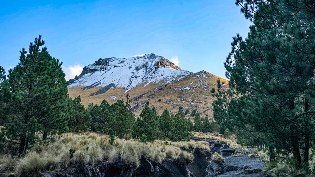 Créditos: Omar Gómez González

Parque Nacional La Malinche