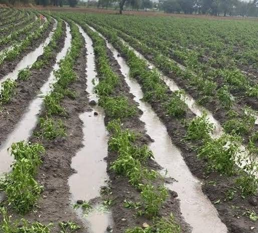 Puebla triplica fondo para atender daños al campo por sequía y lluvias
